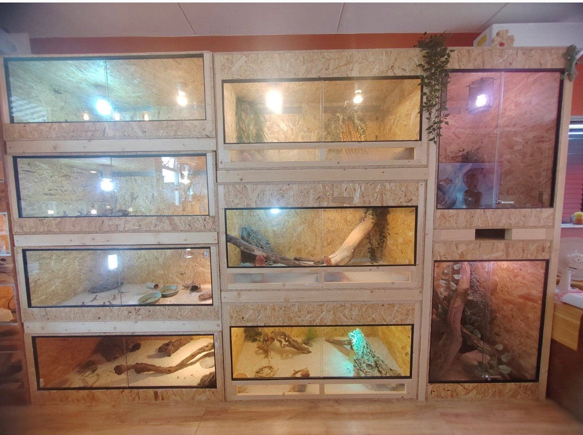 Op maat gemaakte OSB-terraria naar jouw wensen!, Ophalen, Nieuw, Terrarium of Paludarium