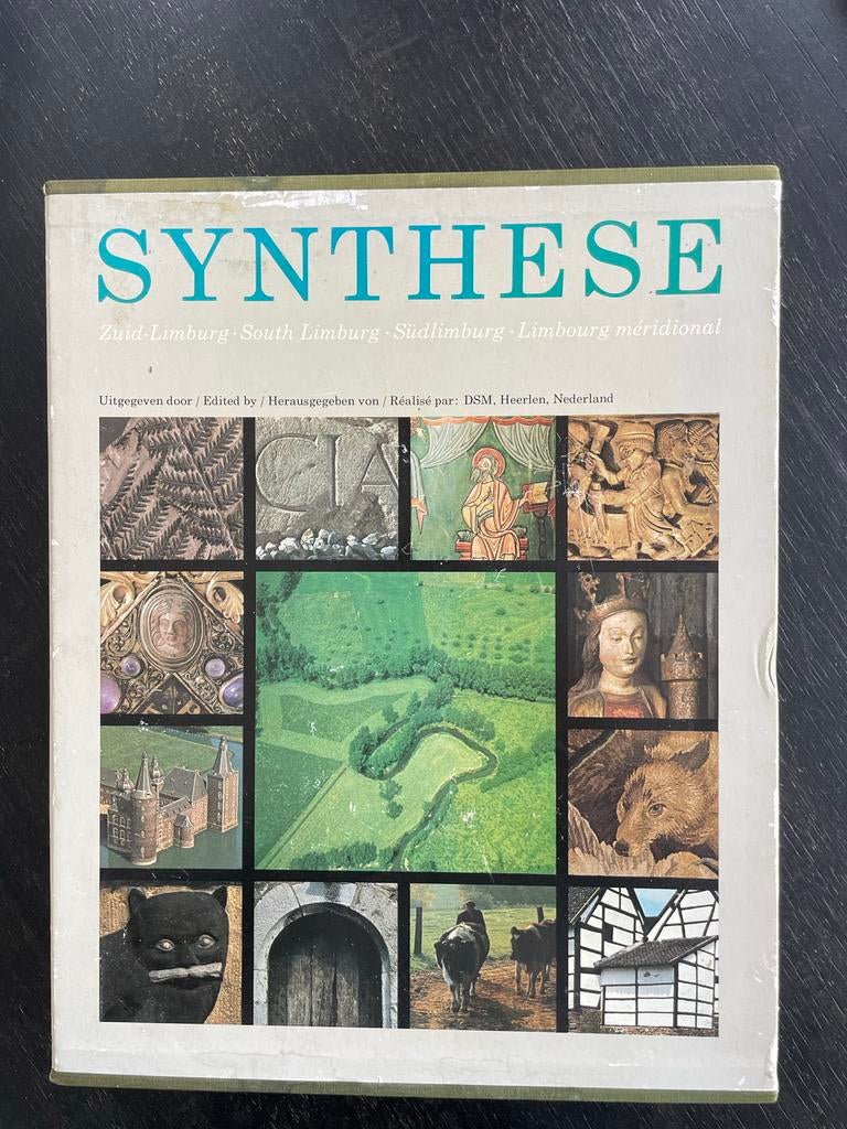 Boek Synthese DSM uitgave, Ophalen, Gelezen, Nederland