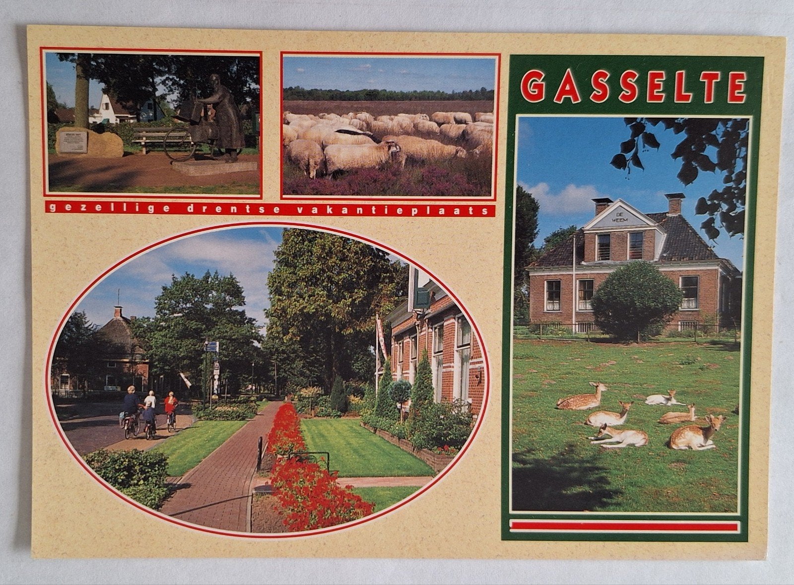 Ansichtkaart Gasselte- Gezellige Drentse, Ophalen of Verzenden, 1980 tot heden, Ongelopen, Drenthe