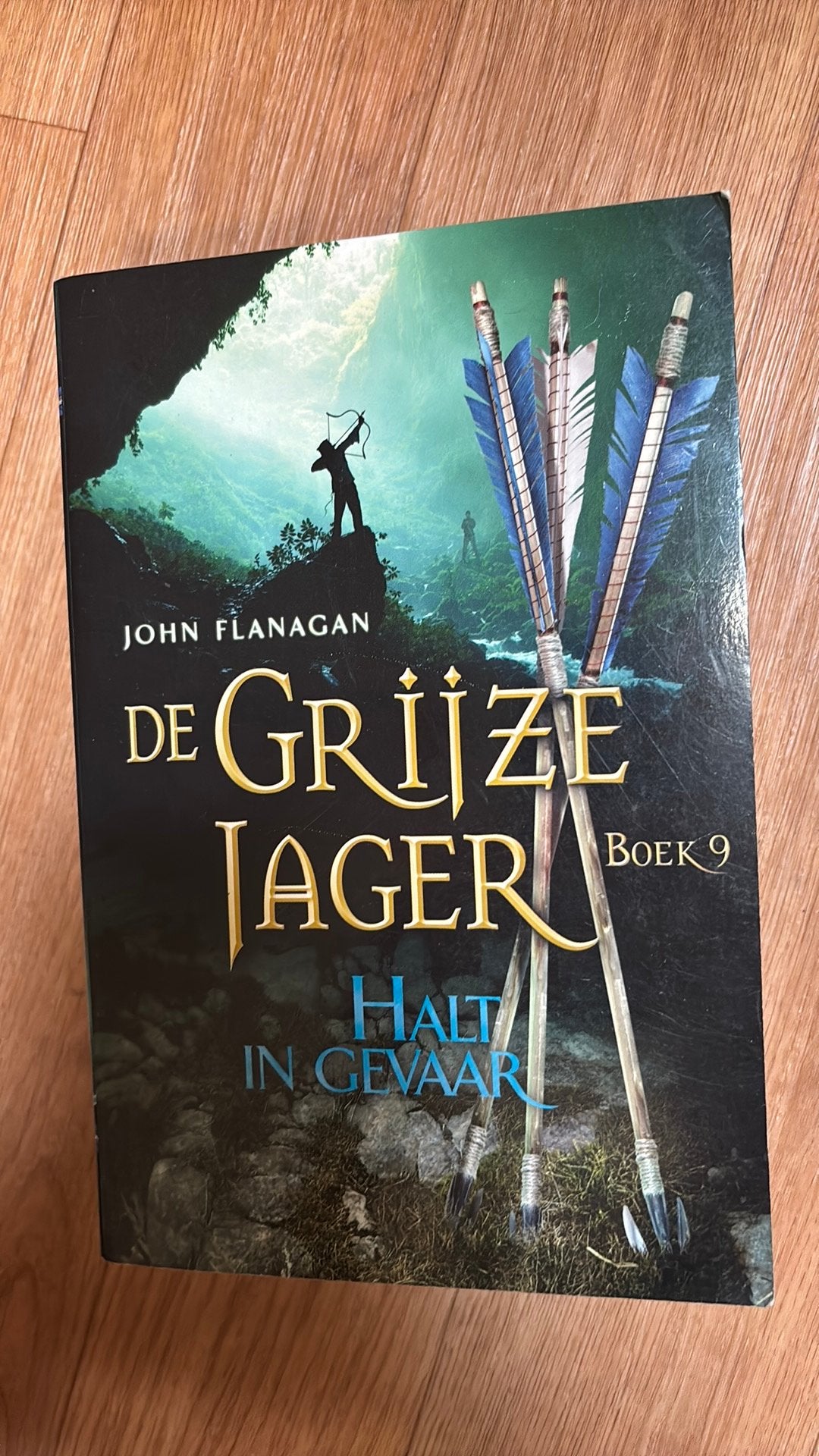 John Flanagan - de Grijze Jager deel 9 Halt in Gevaar, Ophalen of Verzenden, Gelezen