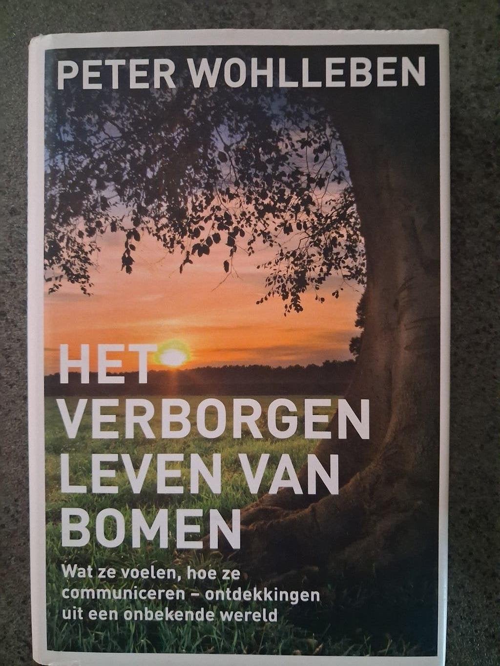 Peter Wohlleben - Het verborgen leven van bomen, Boeken, Bloemen, Planten en Bomen, Peter Wohlleben, Nieuw, Ophalen of Verzenden