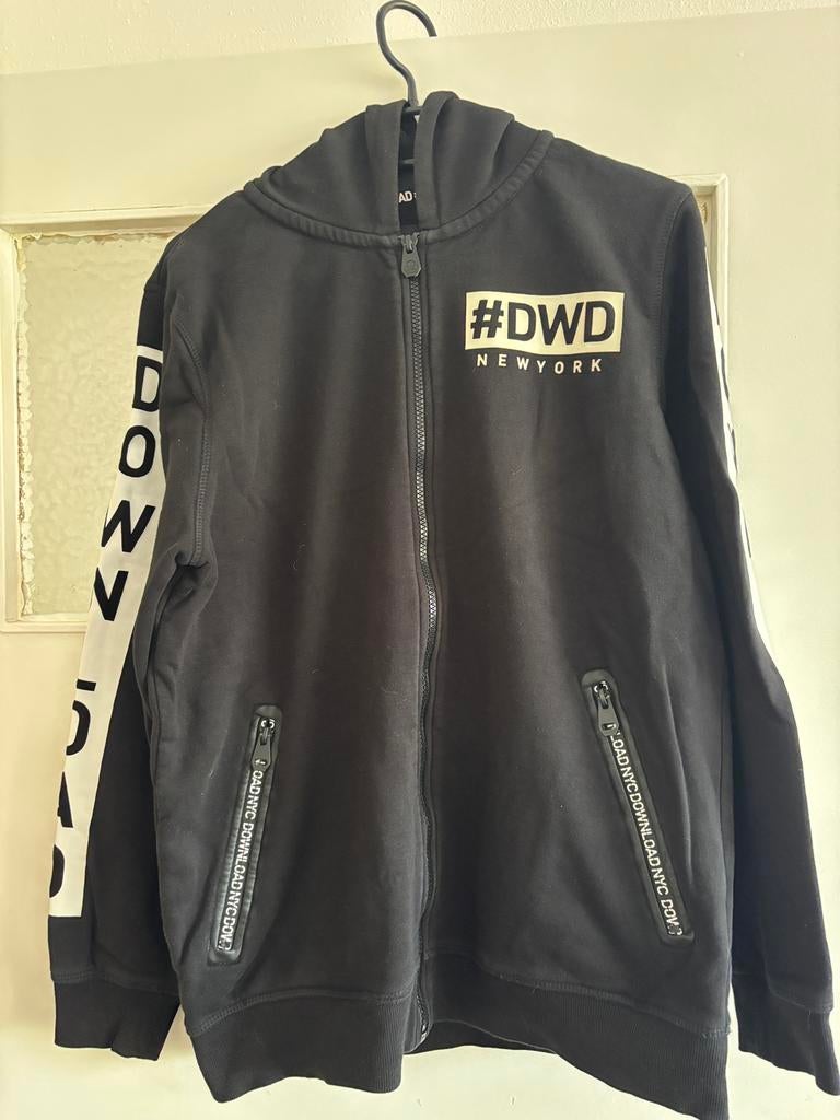 Jongen hoodie, Kinderen en Baby's, Kinderkleding | Maat 170, Ophalen of Verzenden, Zo goed als nieuw, Jongen of Meisje, Trui of Vest