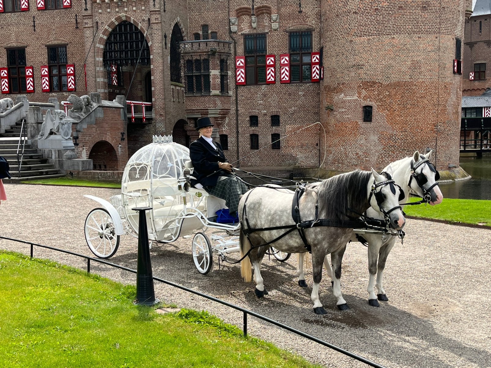 Wij verkopen onze lieve tweespan Welsh A pony’s, Merrie, Tuigpaard, Met stamboom, 7 tot 10 jaar