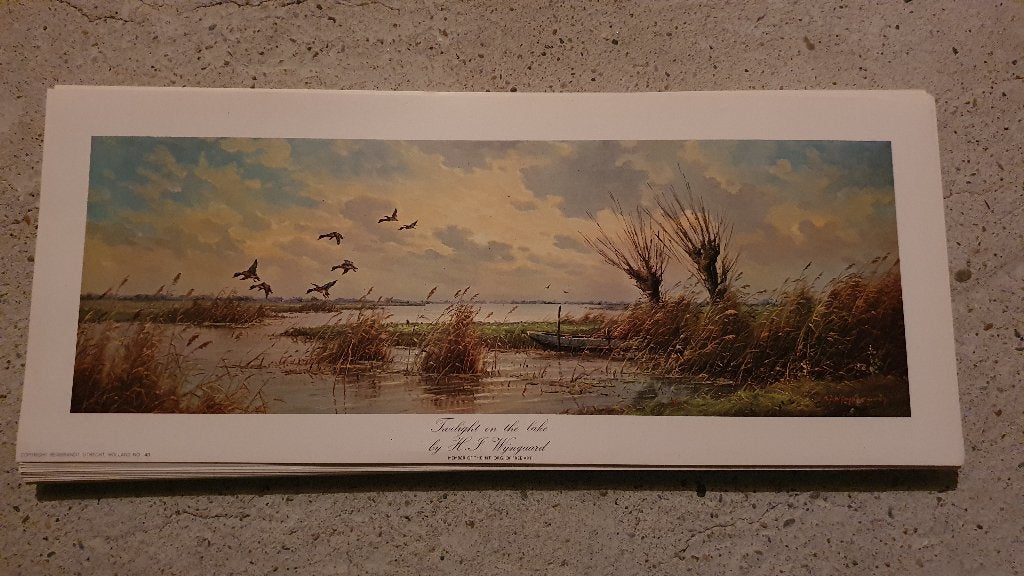 70x Twilight on the lake by H.J. Wijngaard, Ophalen of Verzenden, Voor 1940, Overige onderwerpen