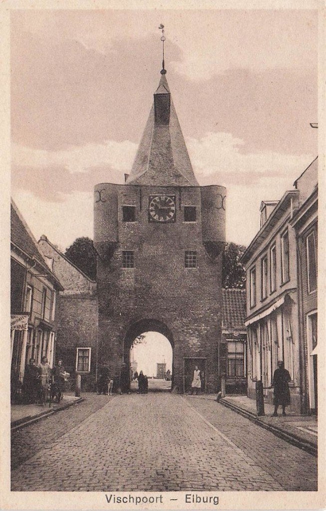 702-257-047 Vischpoort Elburg, Verzenden, Voor 1920, Gelderland