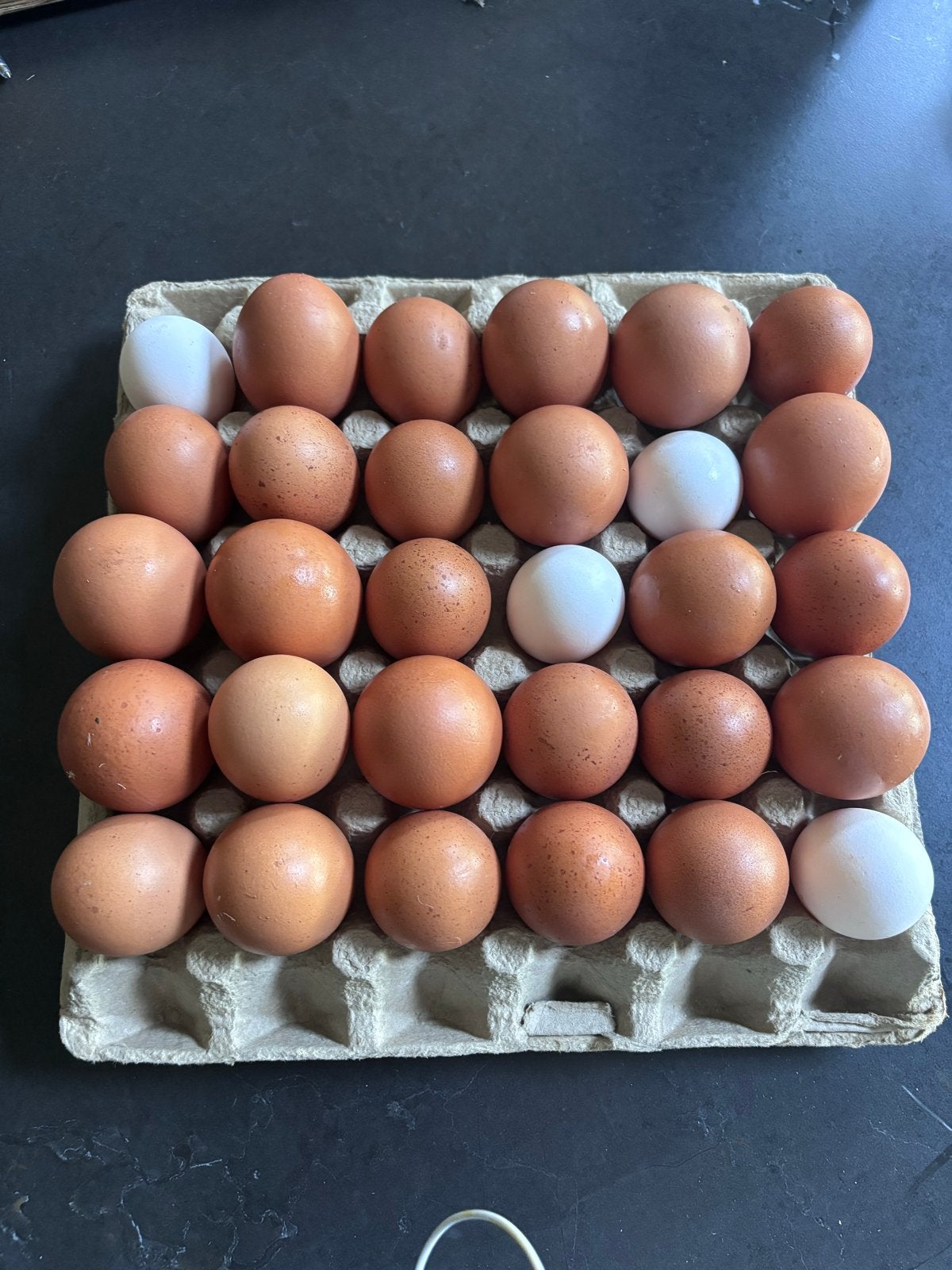 30 biologische eieren van eigen kippen, Diversen, Ophalen