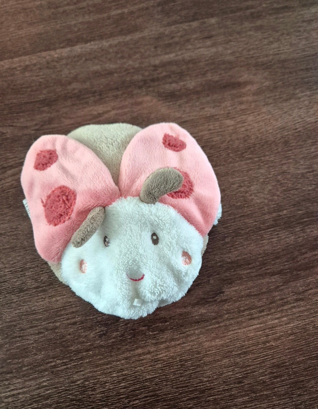 Lieve lieveheersbeestje kersenpit kussen, Kinderen en Baby's, Speelgoed | Babyspeelgoed, Ophalen