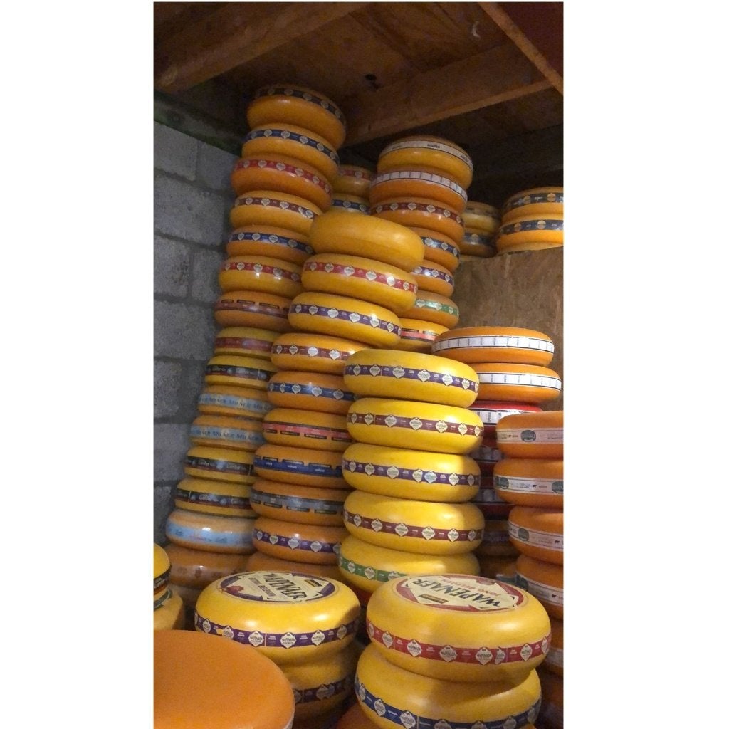 Kaasdummie - goudse kaas - 35 cm - dummiekaas, Ophalen, HorecaBeelden, Overige typen, Nieuw