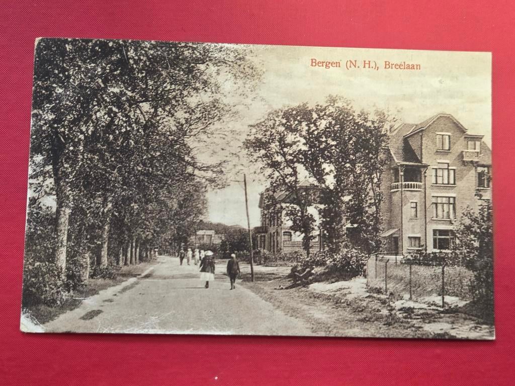 Bergen bij Schoorl Breelaan reclamekaart, Verzamelen, Ophalen of Verzenden, Voor 1920, Noord-Holland