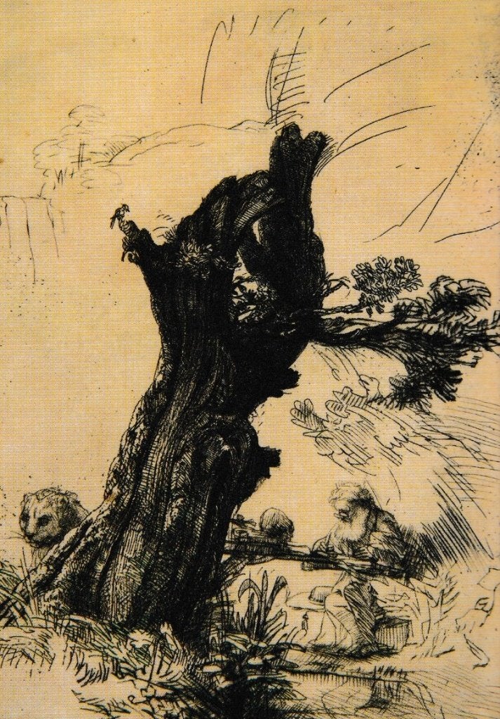 Rembrandt                     702a, Ophalen of Verzenden, Voor 1920
