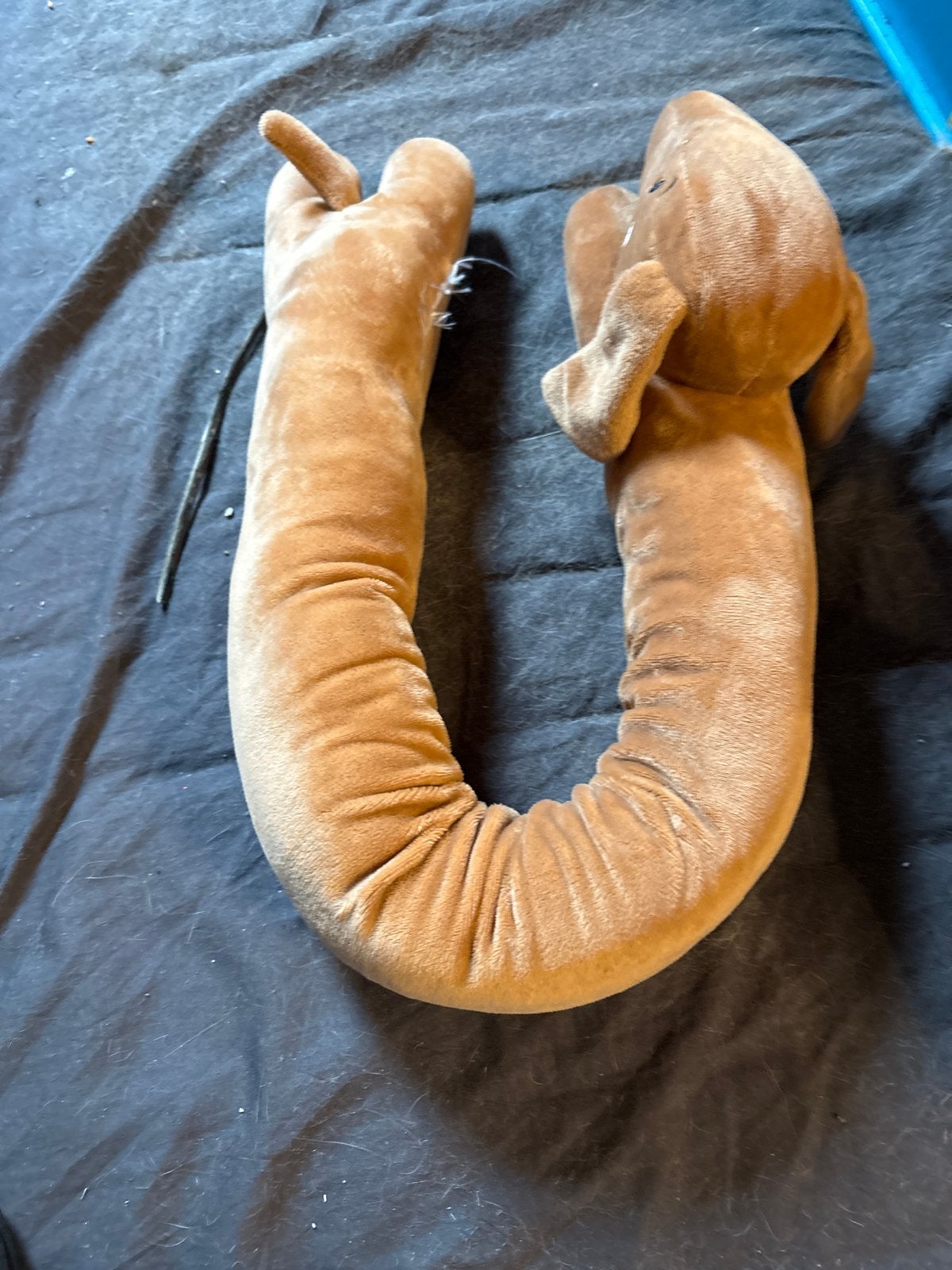 Leuke tekkel knuffel in top conditie, Ophalen of Verzenden, Zo goed als nieuw, Bruin, Hond