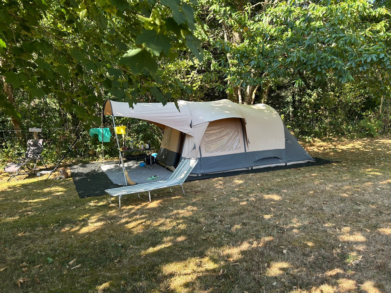 Bardani Royal Prestige 310 rsc (volledig katoen), Ophalen, Gebruikt, Tot en met 4