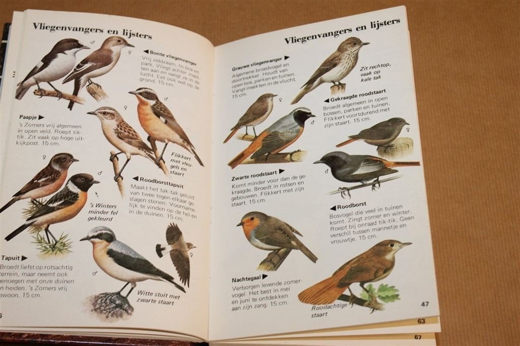 Natuurgids — Vogels, Bloemen, Bomen, Vissen & Meer, Ophalen of Verzenden, Gelezen, Vogels