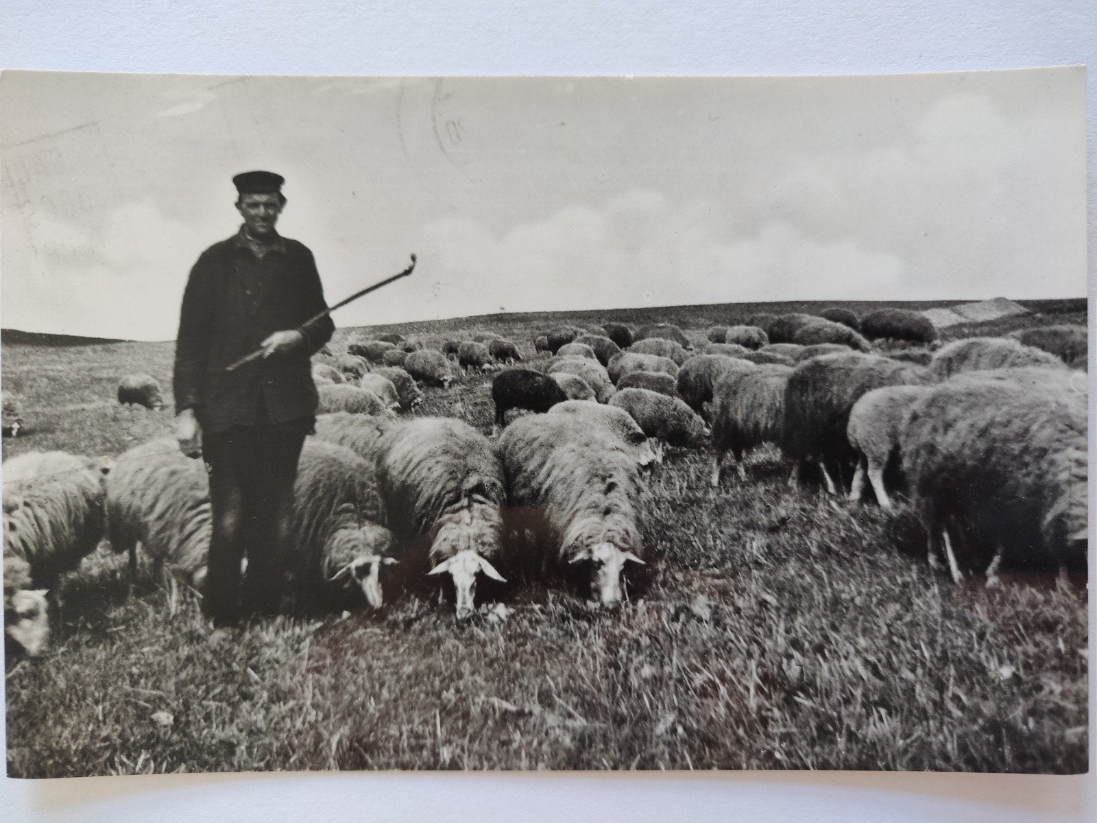 C1223 Elspeet, Ophalen of Verzenden, 1920 tot 1940