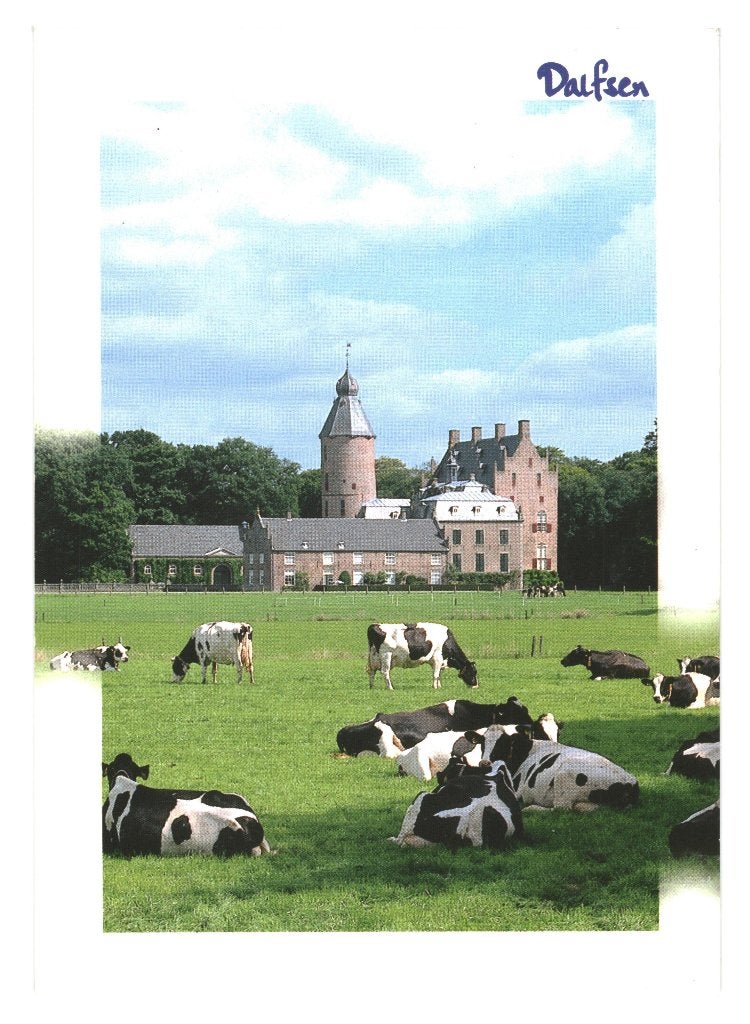 988481	Dalfsen	80+ Kasteel	Rechteren Ov	Gelopen met  zegel, Ophalen of Verzenden, 1980 tot heden, Gelopen, Overijssel