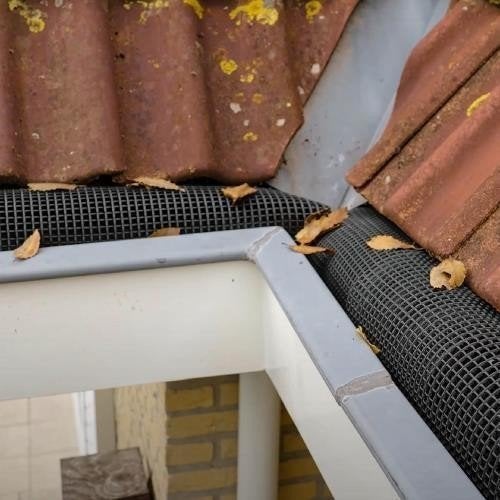 Gootdrain Bladstop - Maten M, L, XL en XXL - Bladvanger, Ophalen of Verzenden, Nieuw