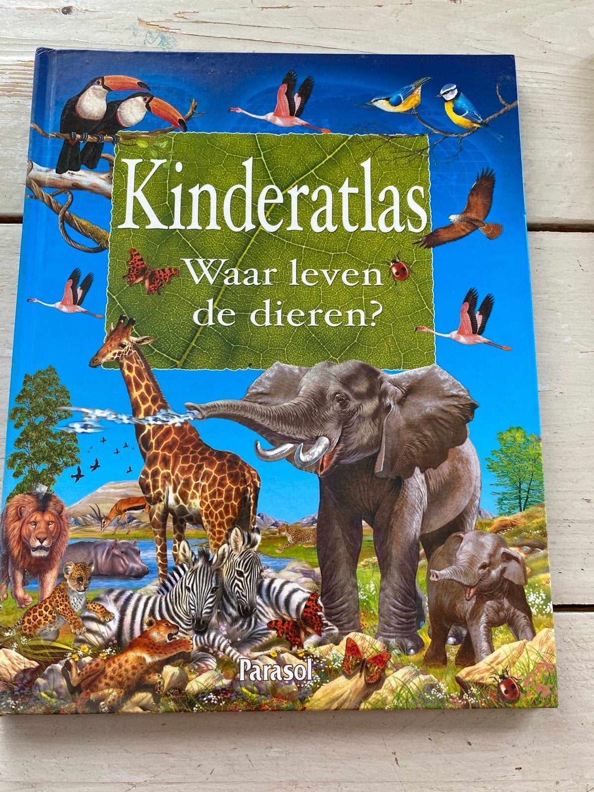 2 boeken Kinderatlas Waar leven de dieren? & Geschiedenis, Boeken, Ophalen of Verzenden, Gelezen, Non-fictie