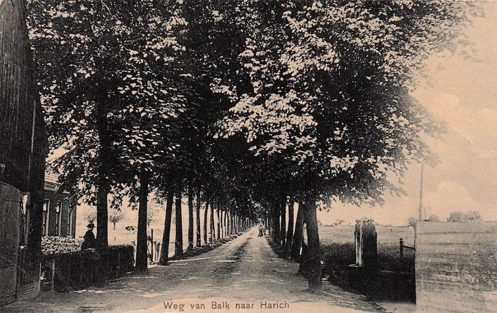 702-121-015 Weg Van Balk Naar Harich, Verzenden, Voor 1920, Friesland