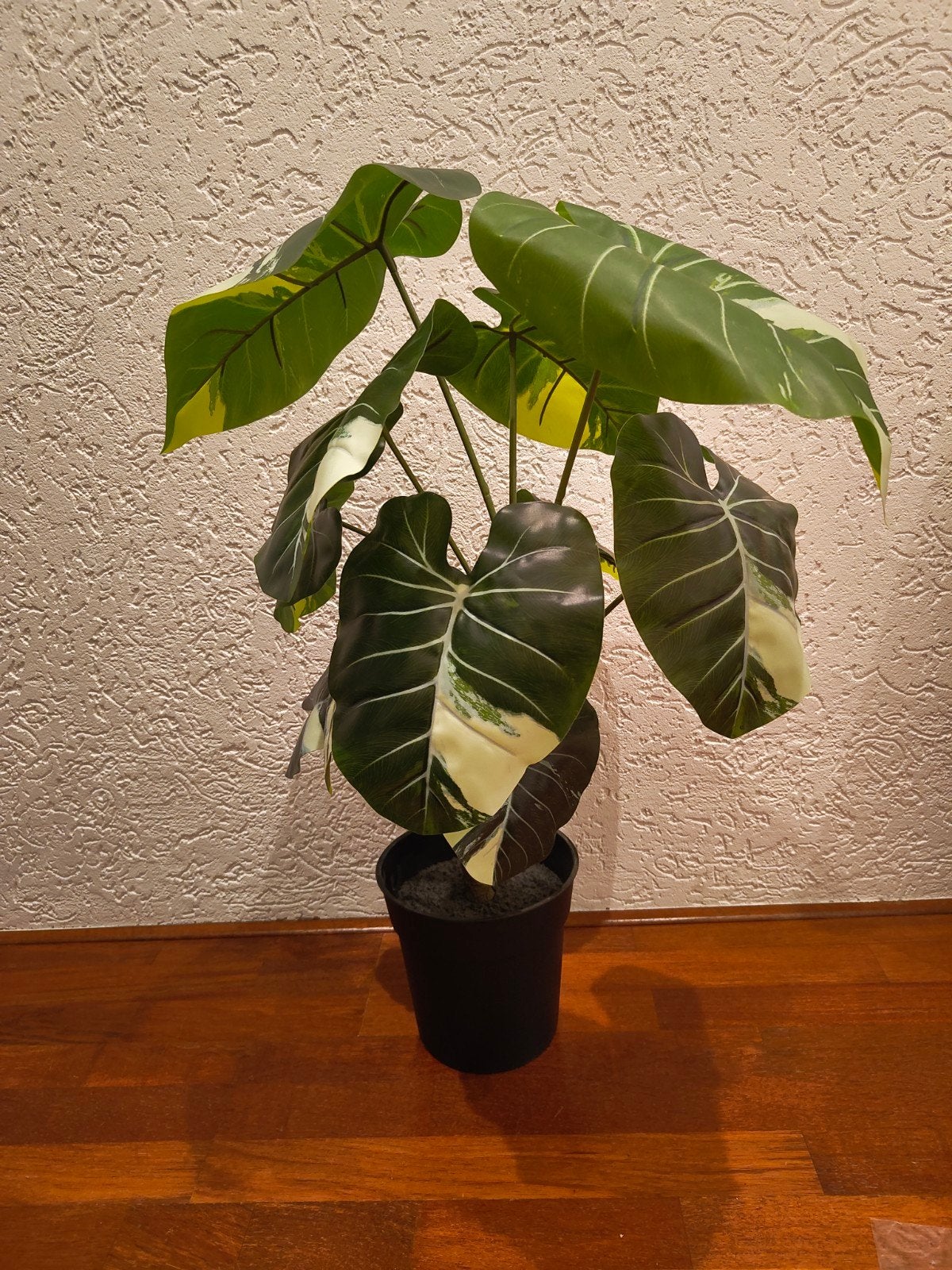 Ikea fejka Alocasia Kunstplant, Ophalen, Groen, Kunstplant, Zo goed als nieuw