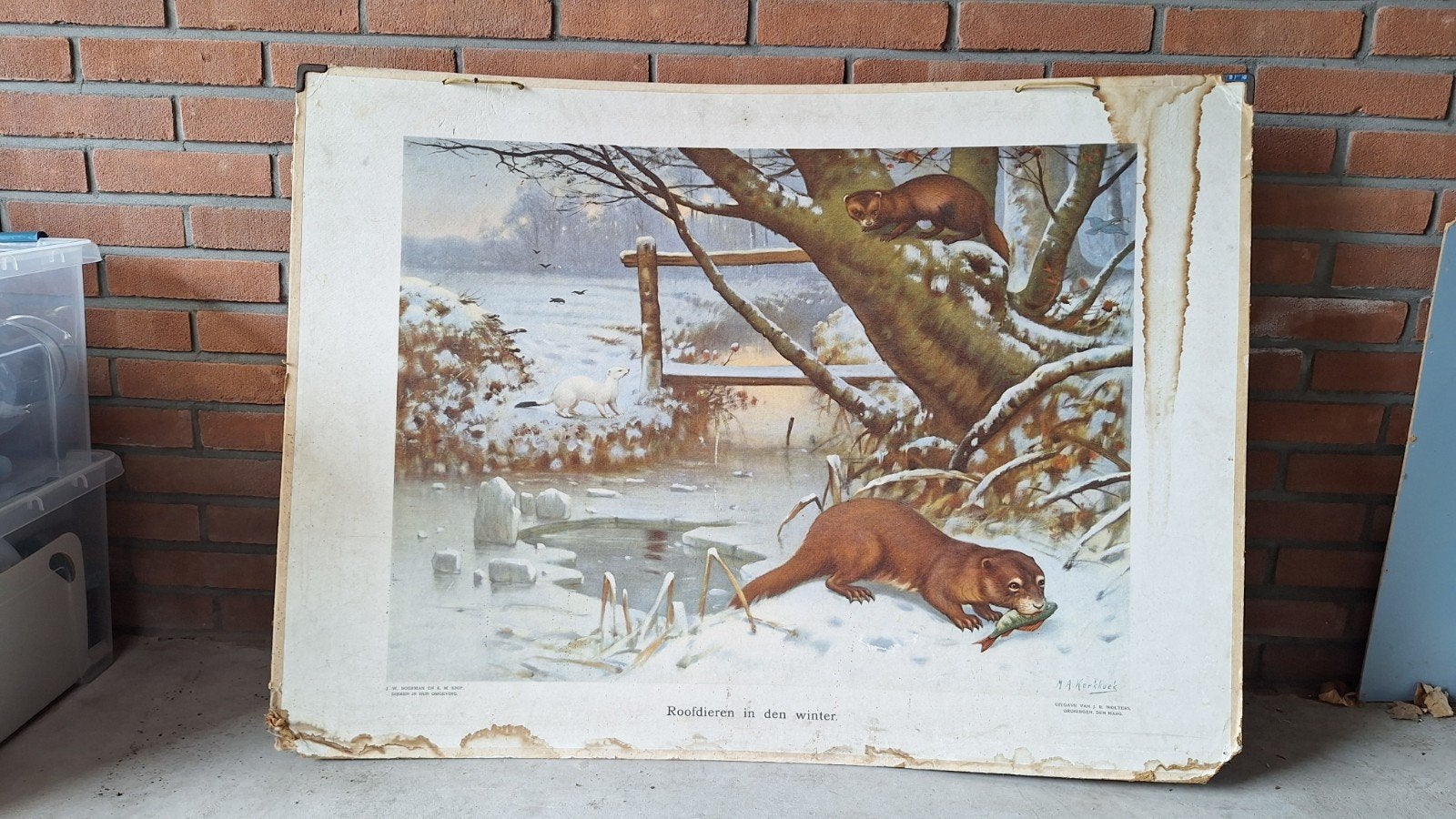 Schoolplaat roofdieren in den winter, Ophalen, Natuur en Biologie