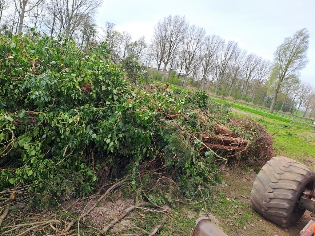Haardhout, Tuin en Terras, Haardhout, Minder dan 3 m³, Ophalen of Verzenden
