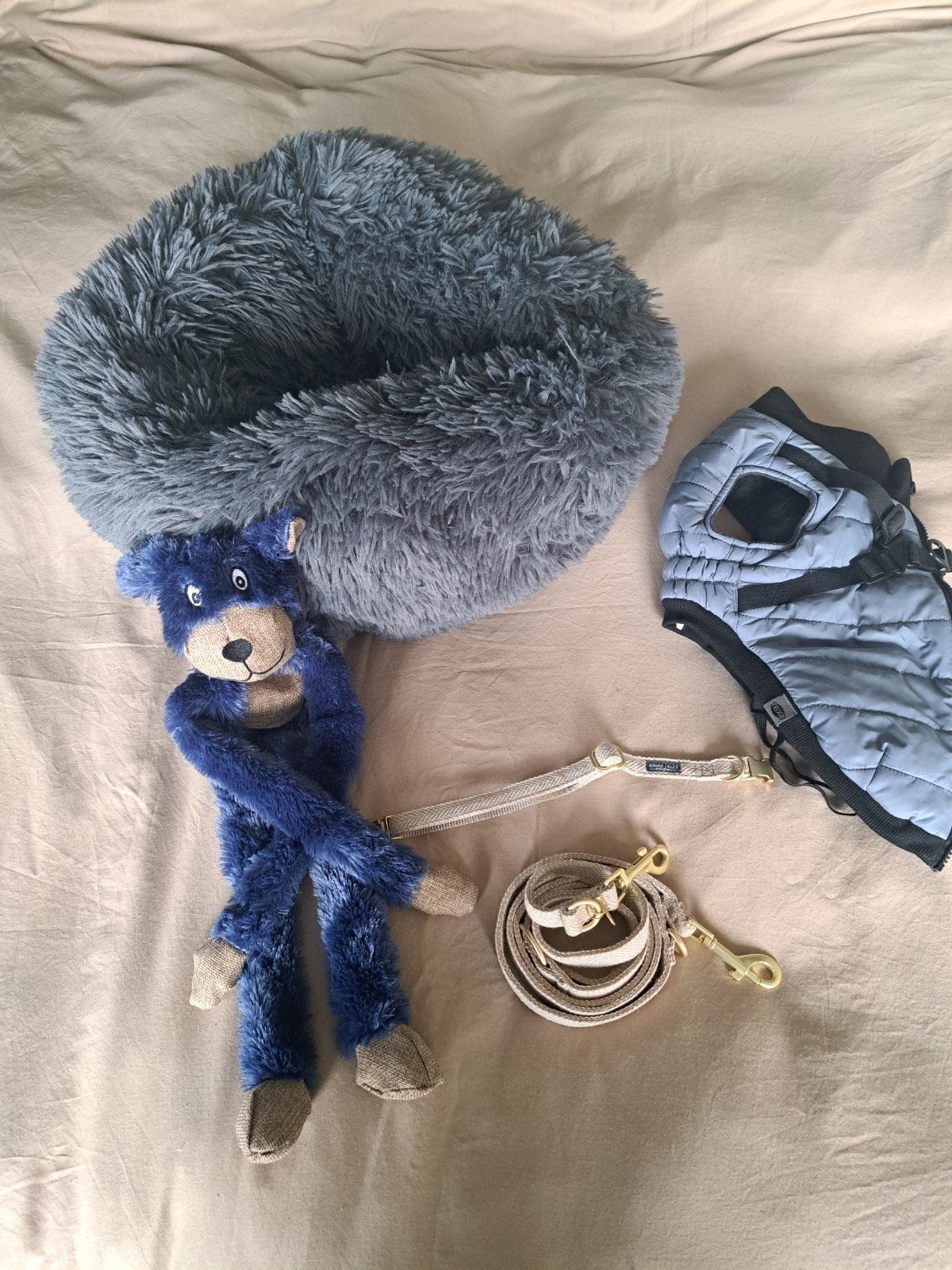 Set puppy/kleine hond (donutmand,jas,halsband+riem), Ophalen of Verzenden, Zo goed als nieuw