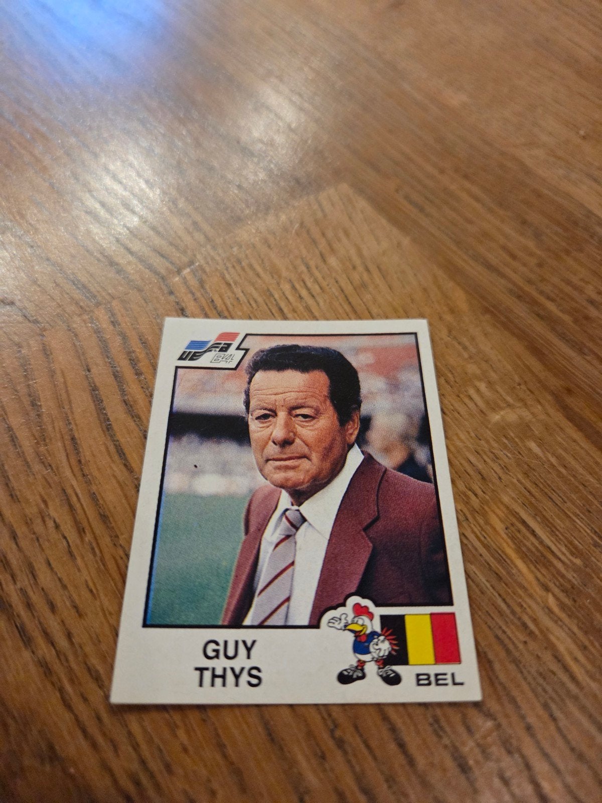 Panini EK 84, Hobby en Vrije tijd, Stickers en Plaatjes, Ophalen of Verzenden, Zo goed als nieuw, Sticker