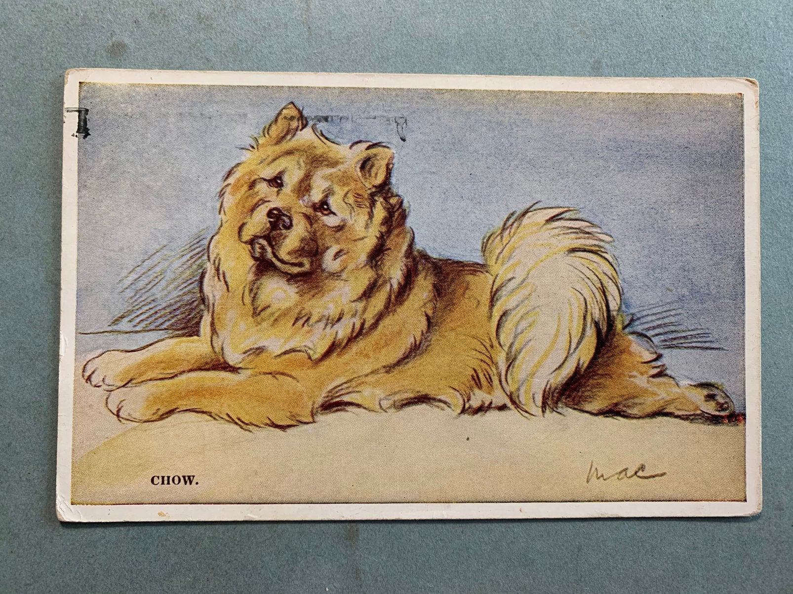 1957 Hond - Chow, Verzamelen, Ophalen of Verzenden, 1940 tot 1960, Gelopen, Hond of Kat