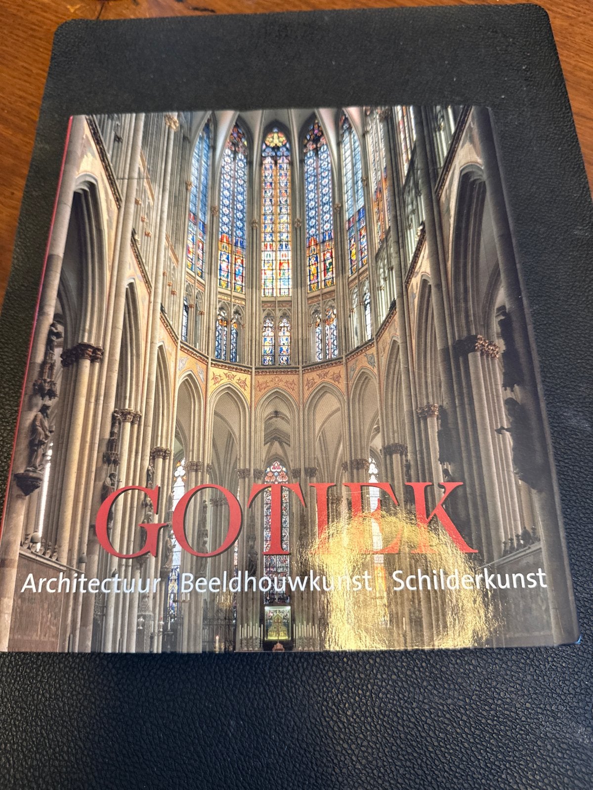 Gotiek: Architectuur, Beeldhouwkunst, Schilderkunst, Ophalen of Verzenden, Zo goed als nieuw, Overige onderwerpen