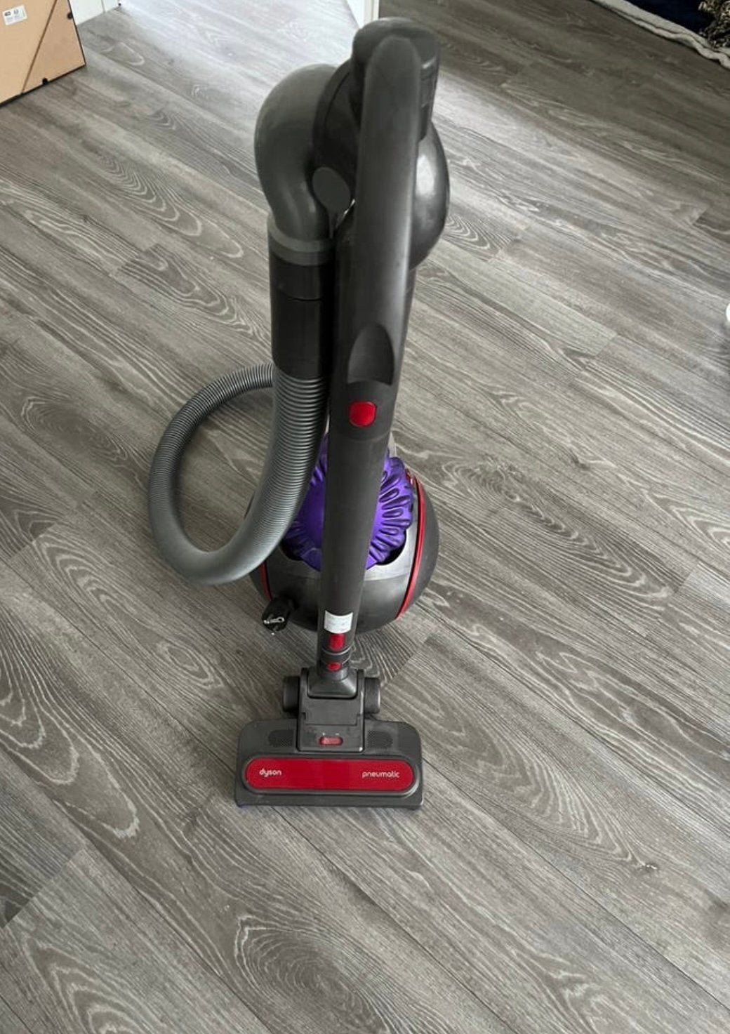 Dyson cinetic bigg ball 2, Ophalen of Verzenden, Zo goed als nieuw, 1200 tot 1600 watt