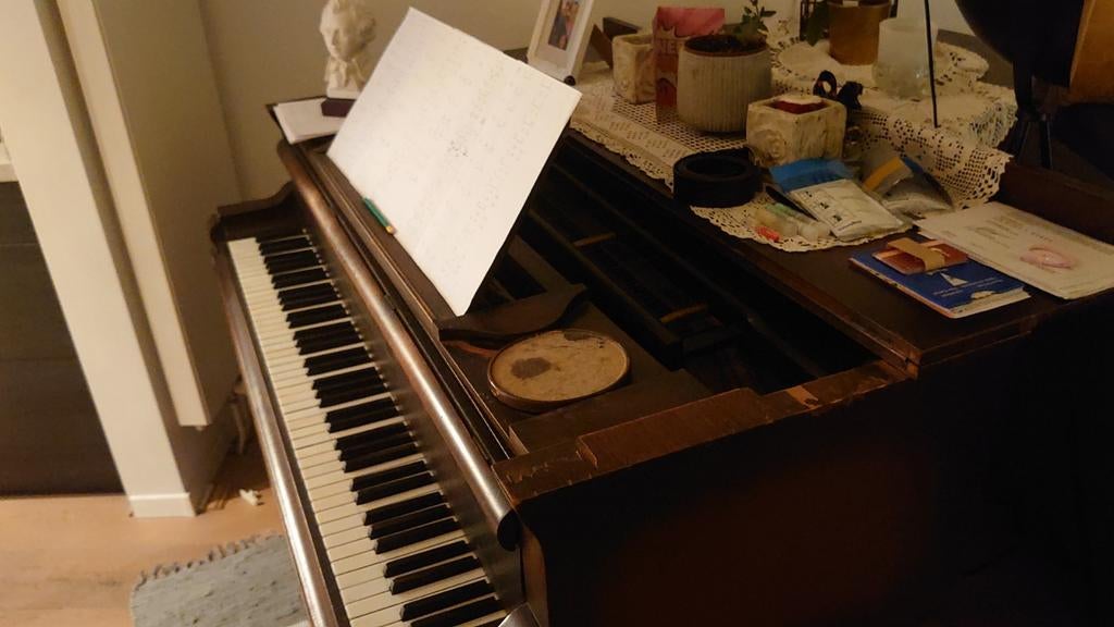 Bosendorfer vleugel uit 1880 lengte 170 cm notenhout, Muziek en Instrumenten, Piano's, Ophalen, Gebruikt, Bruin, Vleugel