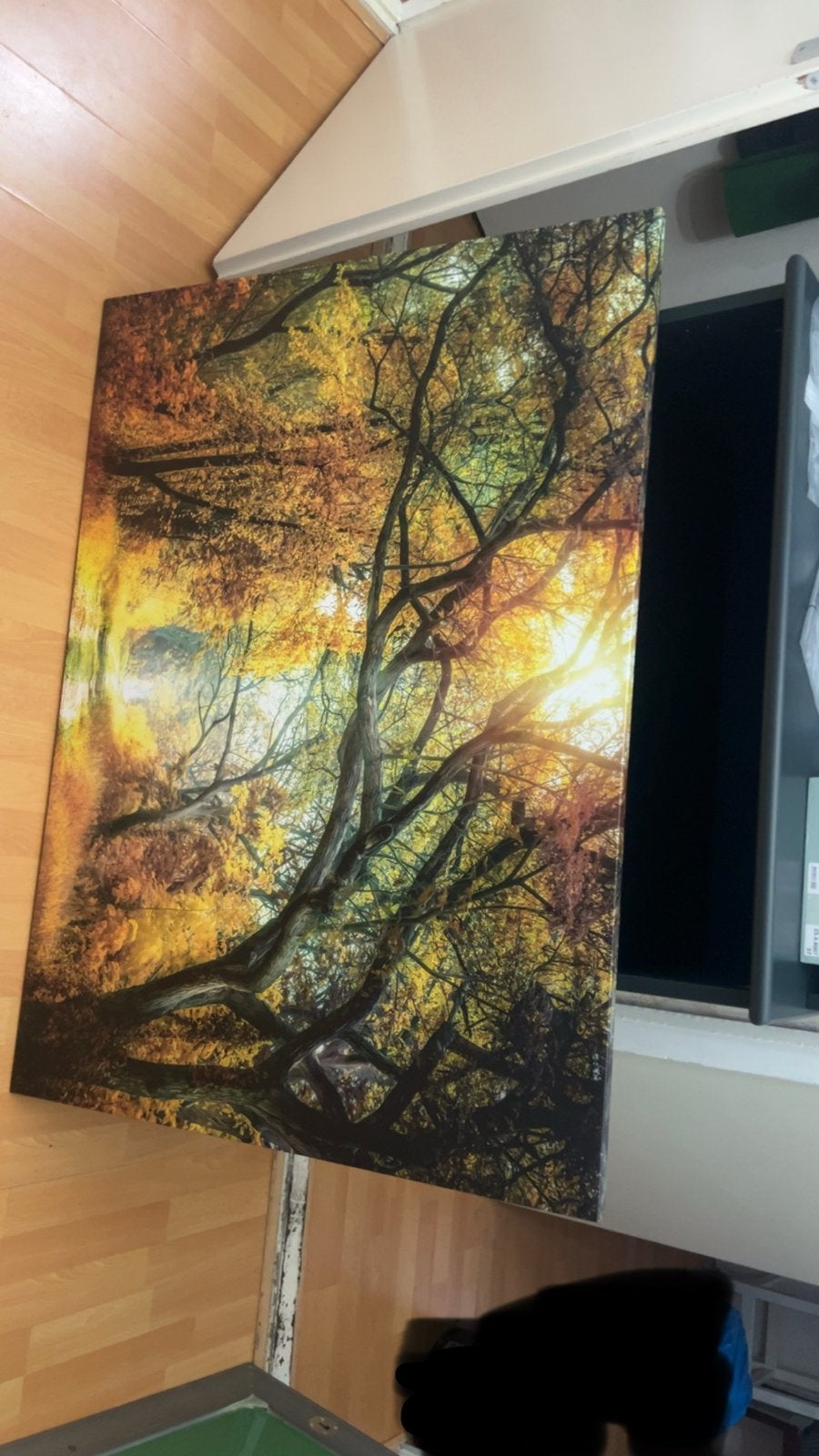 Prachtige Herfstbos Canvas Schilderij - Grote Afmeting, Huis en Inrichting, Woonaccessoires | Schilderijen, Tekeningen en Foto's