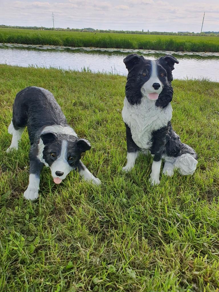 Border Collies, Ophalen, Dierenbeeld, Kunststof, Hardinxveld-Giessendam
