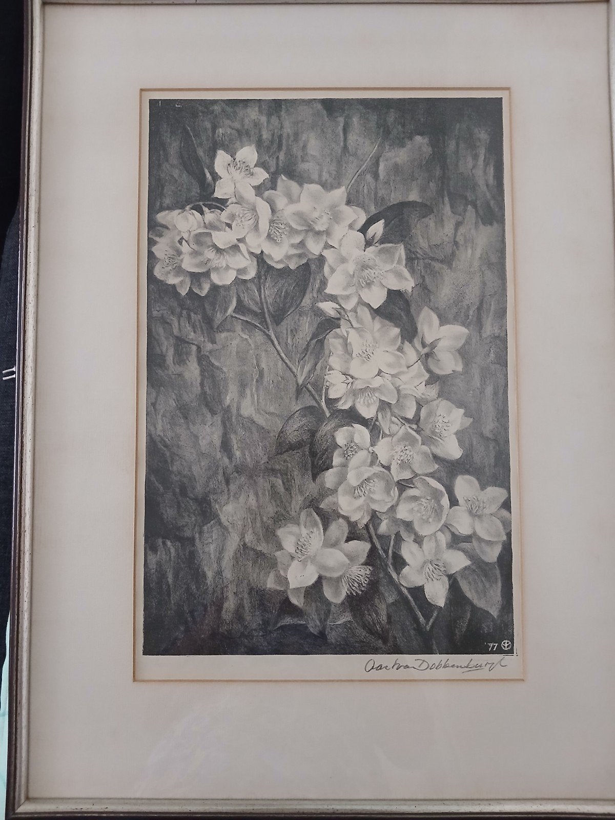 aartvan dobbenburgh., Antiek en Kunst, Ophalen, Tekening, Overige technieken, Handgemaakt
