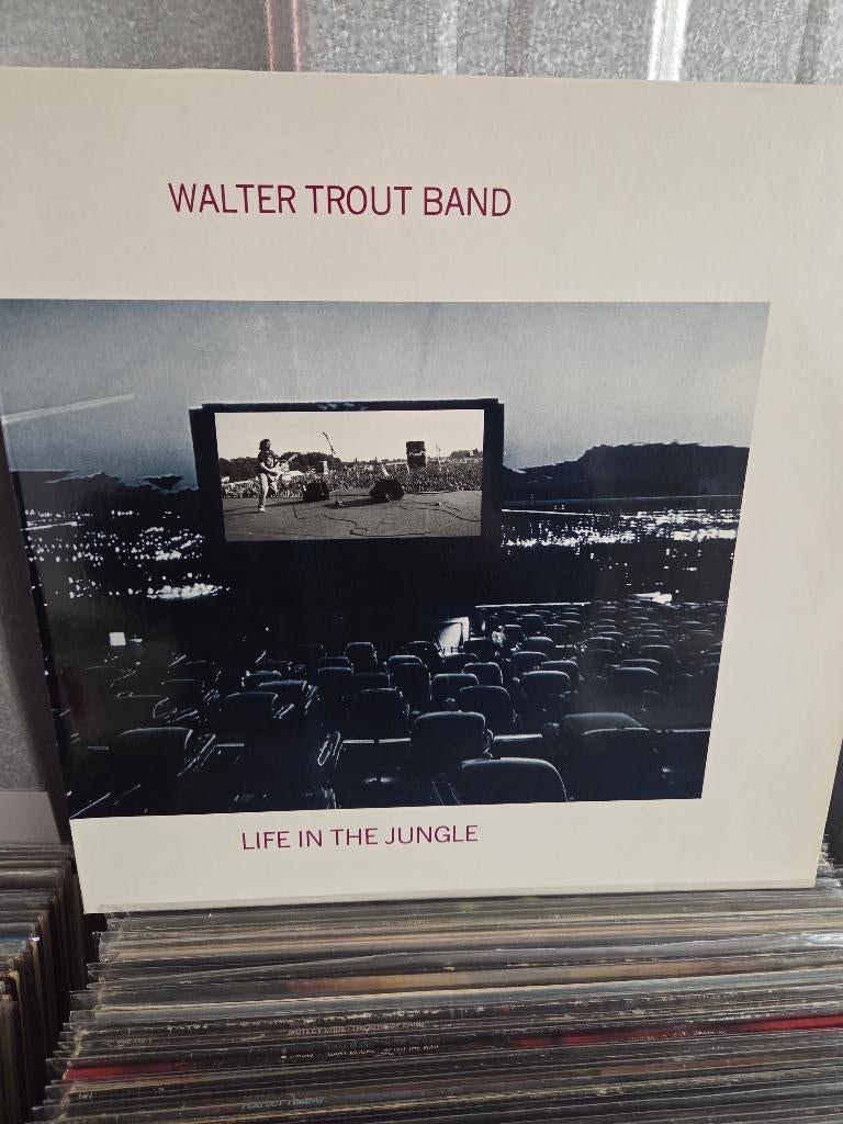 Blues lp WALTER TROUT BAND: LIFE IN THE JUNGLE, Gebruikt, Originele persing, Ophalen of Verzenden, 12 inch