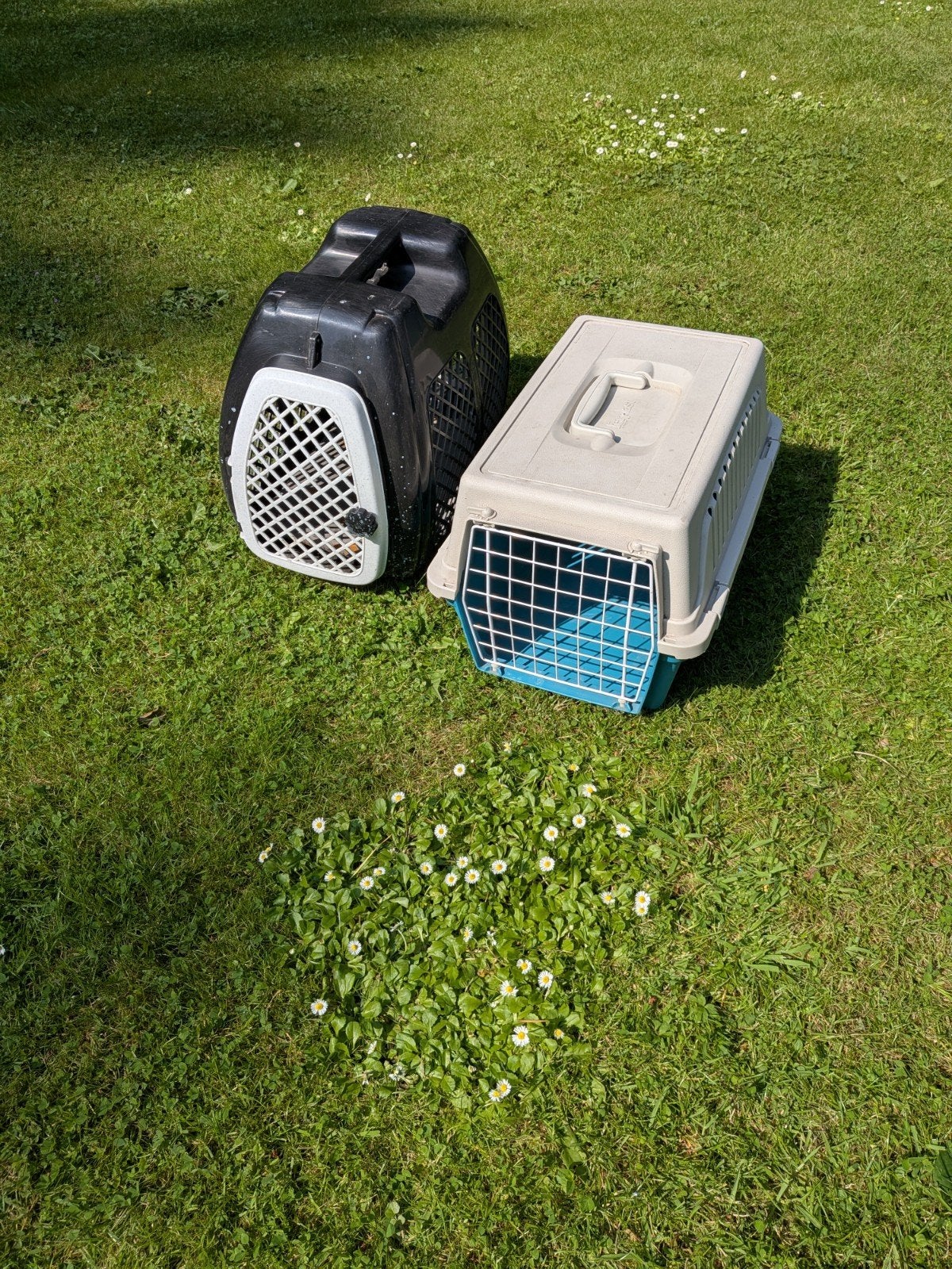 Katten konijnen reismand draagmand, 2 stuks, Ophalen