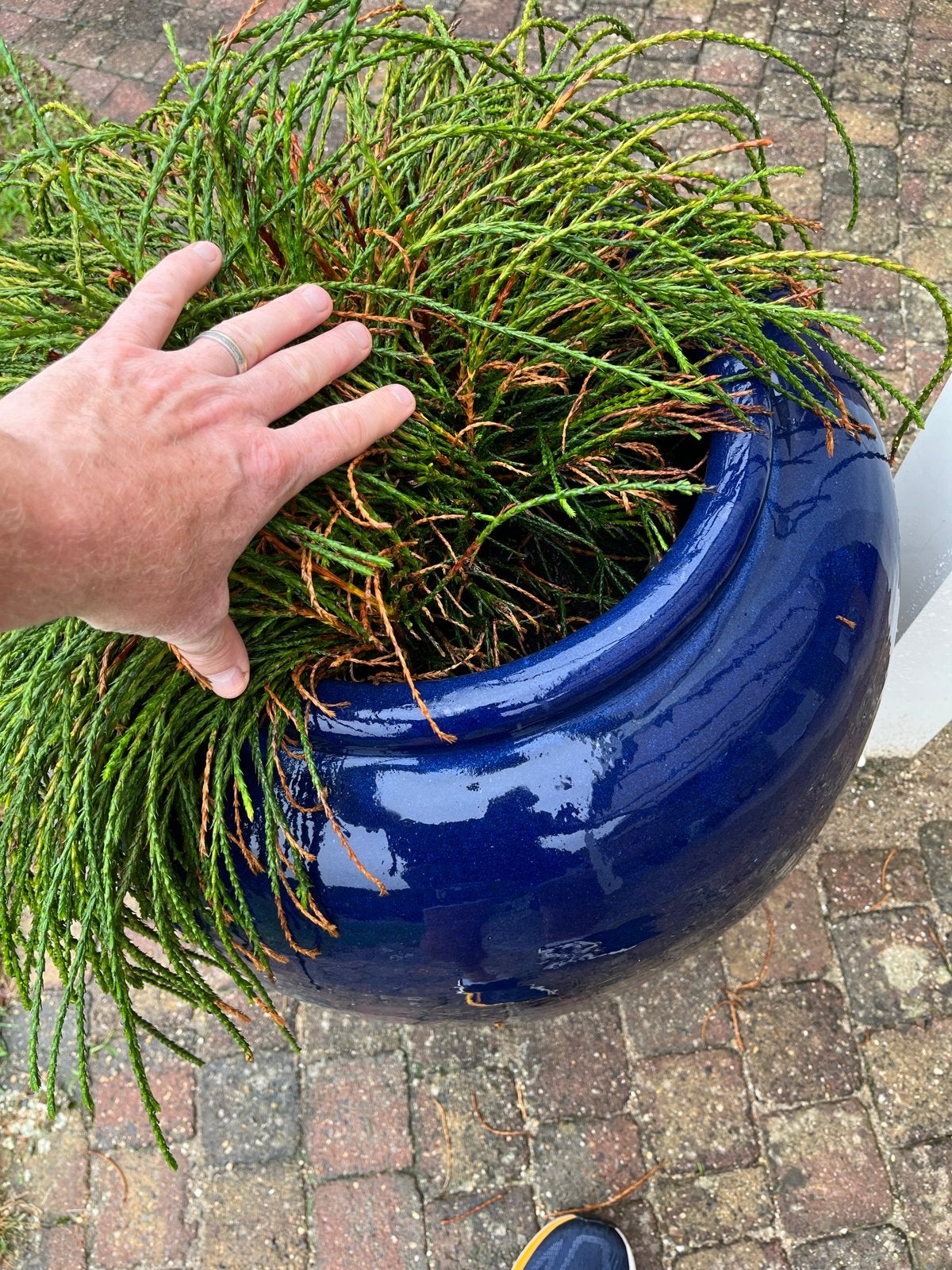 Set grote blauwe geglazuurde bloempotten, Tuin en Terras, Ophalen, Gebruikt, 40 cm of meer, Rond