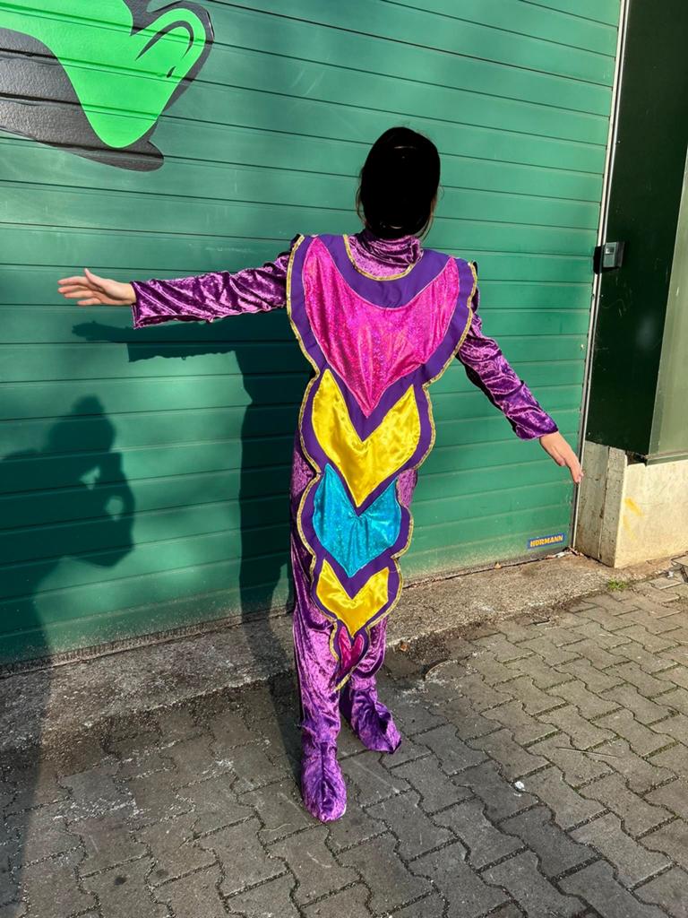 Te koop: carnavalspakken Vlinder, Kleding | Dames, Carnavalskleding en Feestkleding, Ophalen of Verzenden, Zo goed als nieuw