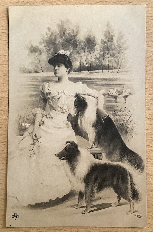 dl edwardian dame 2 schotse herdershonden COLLIE Colley Hond, Ophalen of Verzenden, Voor 1920, Ongelopen, Overige thema's