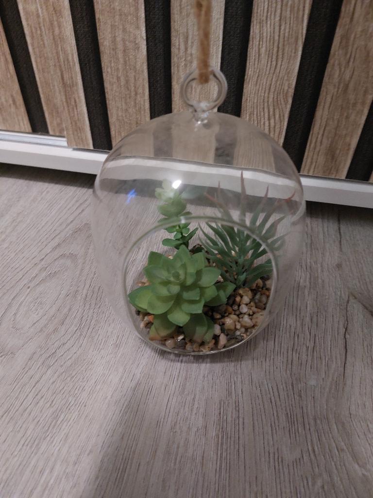 kunst plant ophangbaar, Overige typen, Overige materialen, Onderhoudsvrij, Ophalen of Verzenden