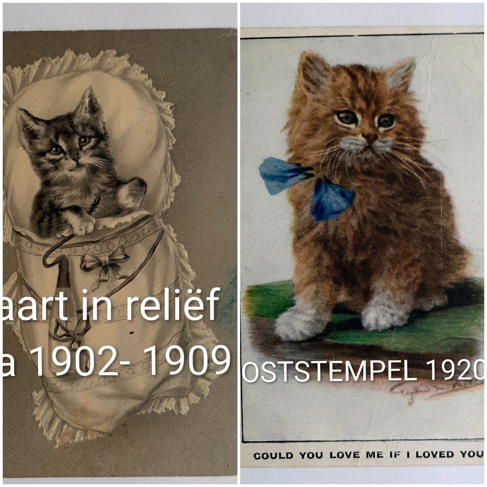 vintage / antieke ansichtkaarten katten verzamelaarsobject, Ophalen of Verzenden, Voor 1920, Hond of Kat