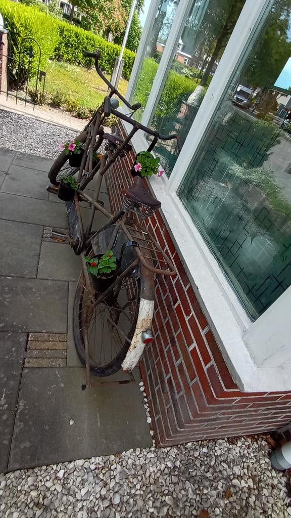 Een Tandem uit groot moeders tijd schuur vondst te koop, Ophalen
