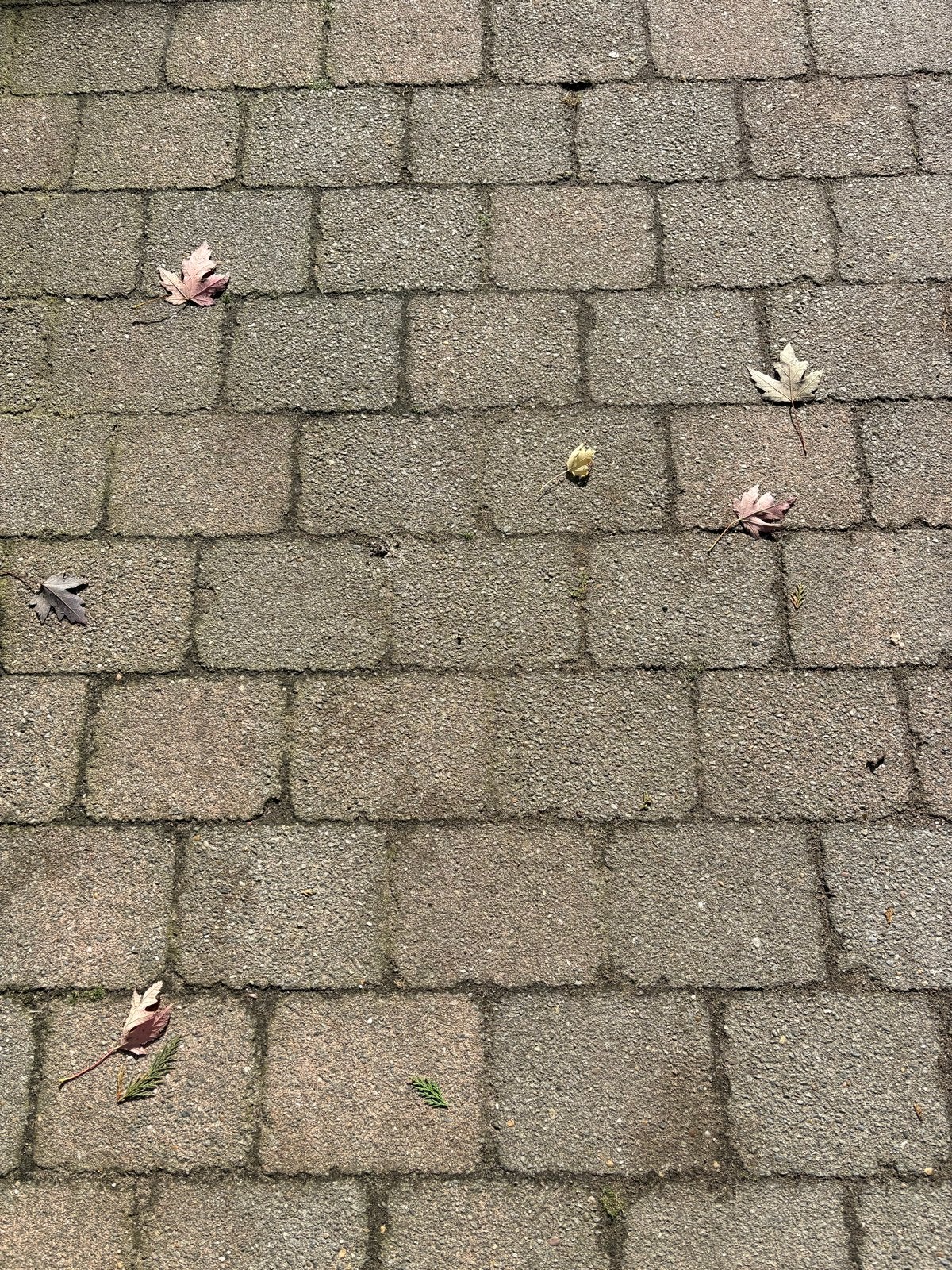100 m2 bestrating, Tuin en Terras, Ophalen, Gebruikt, Klinkers, 10 m² of meer