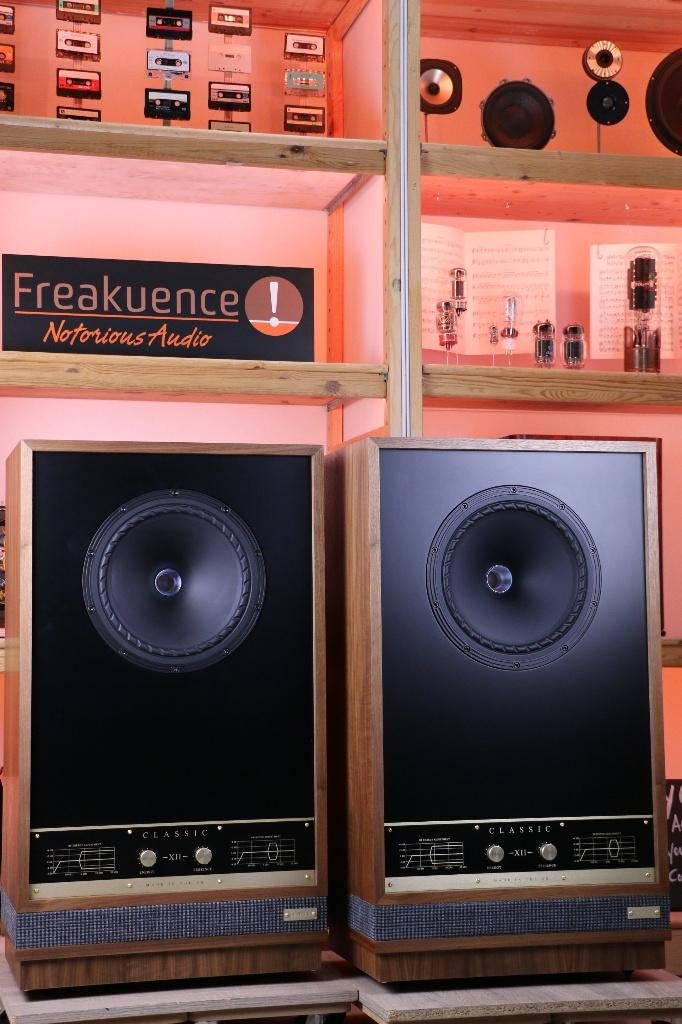 Fyne Classic XII / 12 inch INRUIL? Groot, groter, grootst., Overige merken, Ophalen of Verzenden, Zo goed als nieuw, Fyne Audio