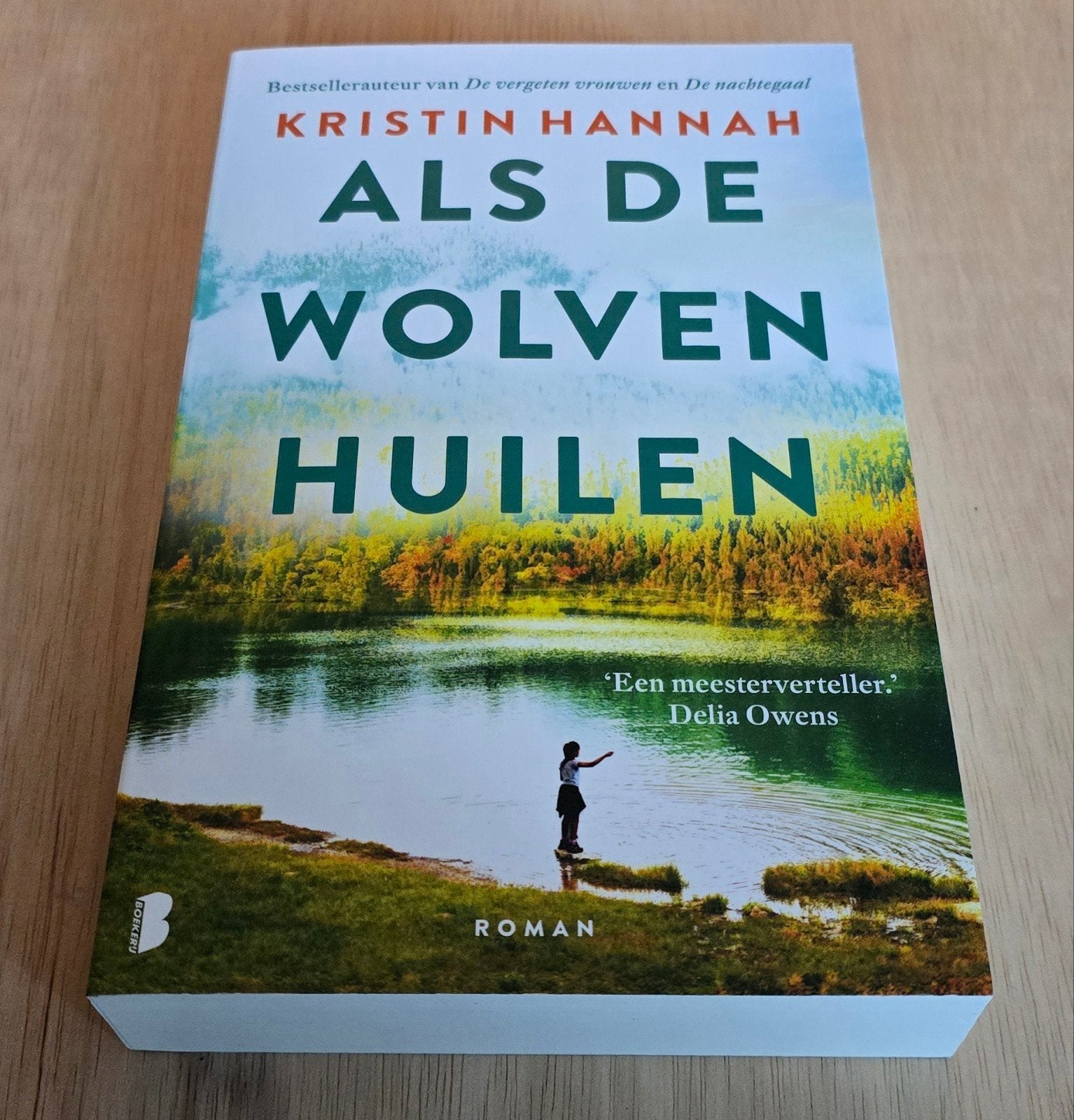 diverse boeken vaste prijs, Boeken, Ophalen of Verzenden, Zo goed als nieuw, Kristin Hannah