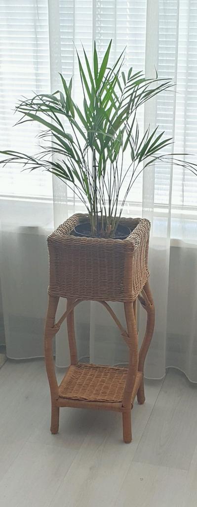 Vintage Rotan plantenzuil 75×33×33, Antiek en Kunst, Ophalen