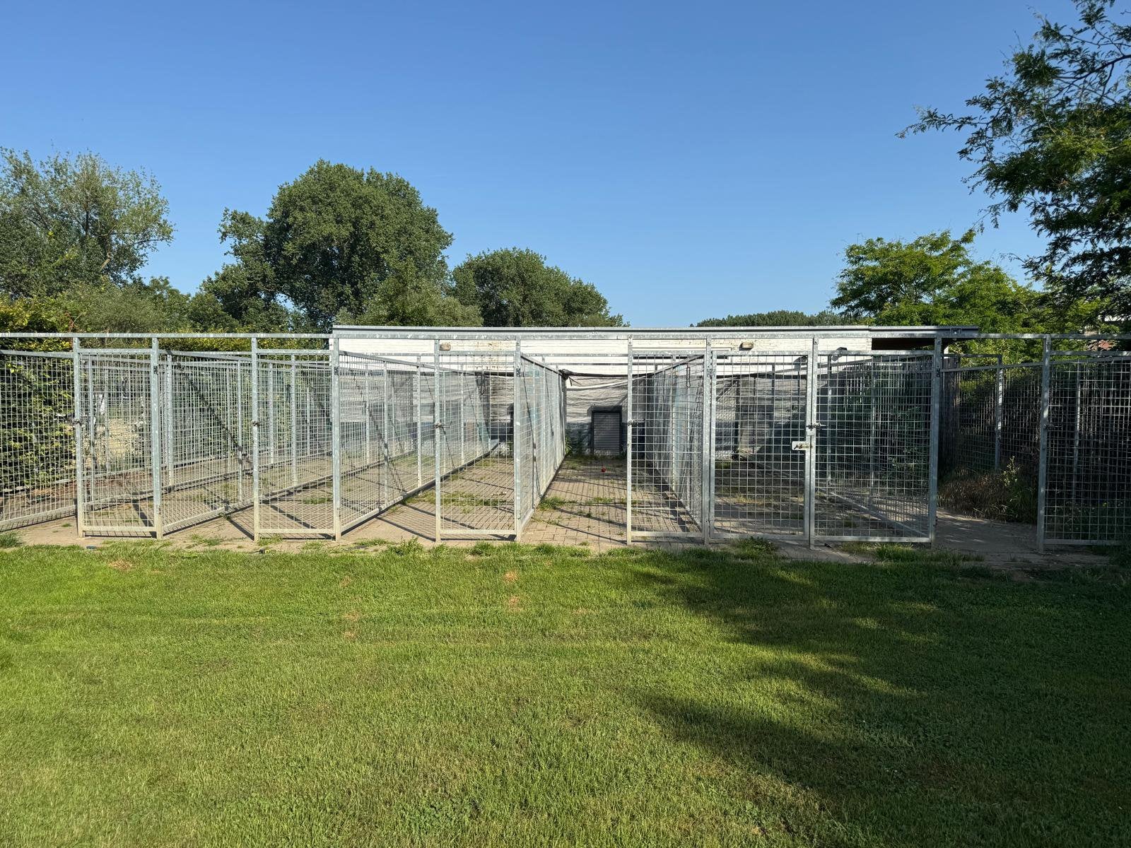 Te koop binnen en buitenkennels, Dieren en Toebehoren, Ophalen, Hondenkennel, 110 cm of meer, 100 cm of meer