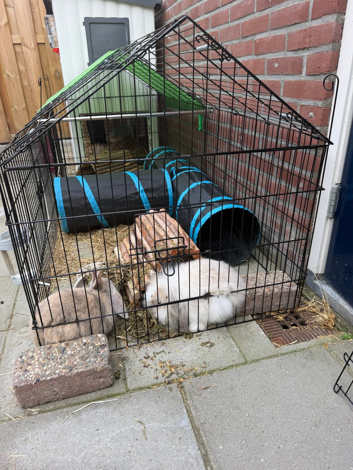 Buitenren, Dieren en Toebehoren, Knaagdieren en Konijnen | Hokken en Kooien, Ophalen, Gebruikt, Ren