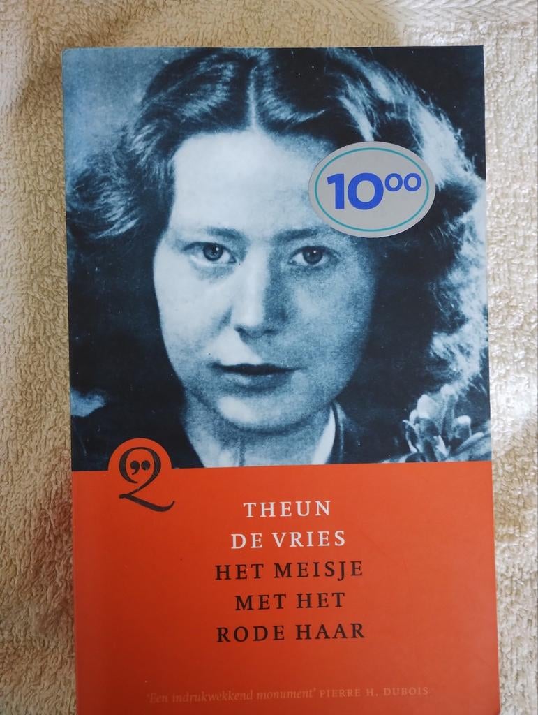 Theun de Vries het meisje met het rode haar, Boeken, Ophalen of Verzenden, Zo goed als nieuw, Overige