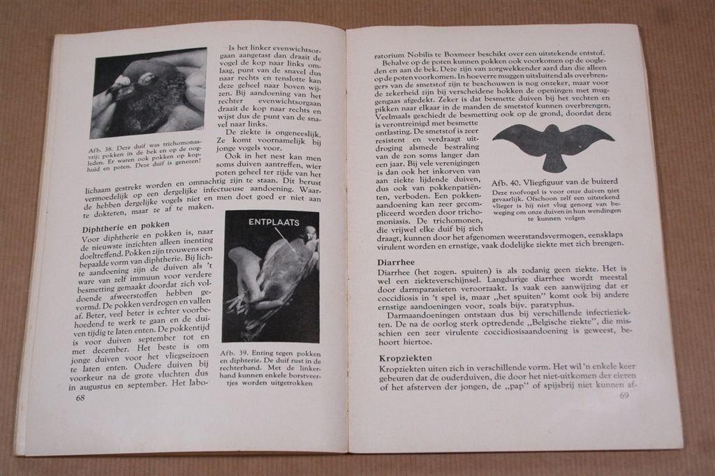 De postduif — Huisvesting, verzorging, teelt... 1958, Ophalen of Verzenden, Gelezen, Vogels